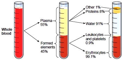 Composition of Serum
