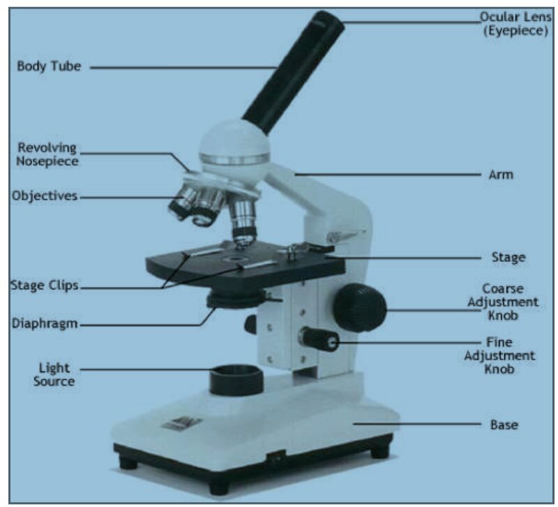 microscope