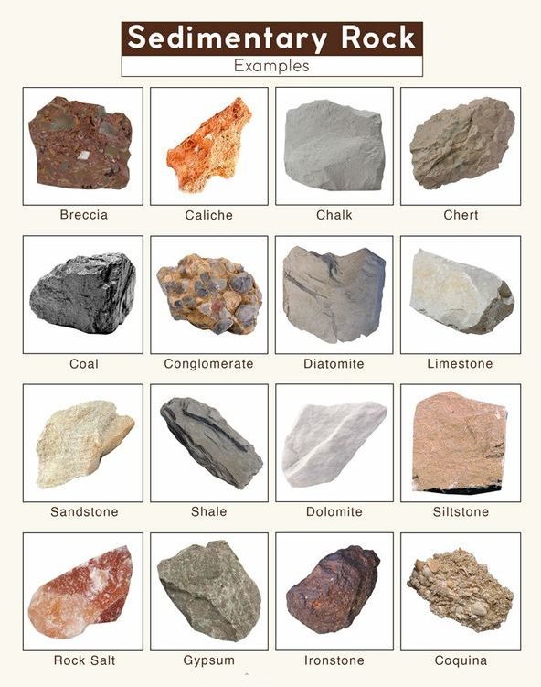 sedimentary rocks