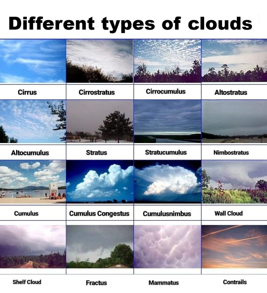 Types of clouds