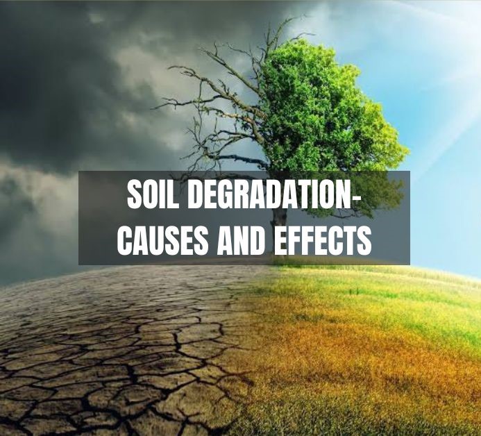 soil degradation